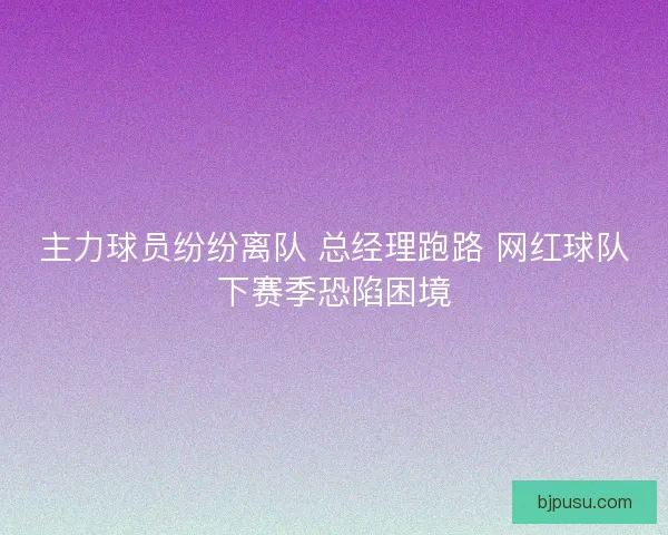 主力球员纷纷离队 总经理跑路 网红球队下赛季恐陷困境
