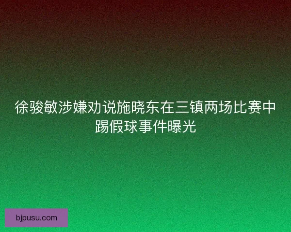 徐骏敏涉嫌劝说施晓东在三镇两场比赛中踢假球事件曝光