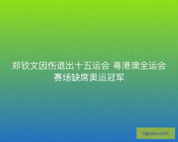 郑钦文因伤退出十五运会 粤港澳全运会赛场缺席奥运冠军